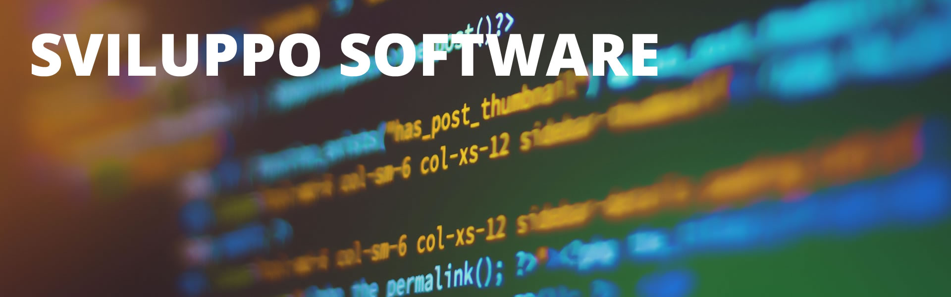 sviluppo-software sviluppo-software