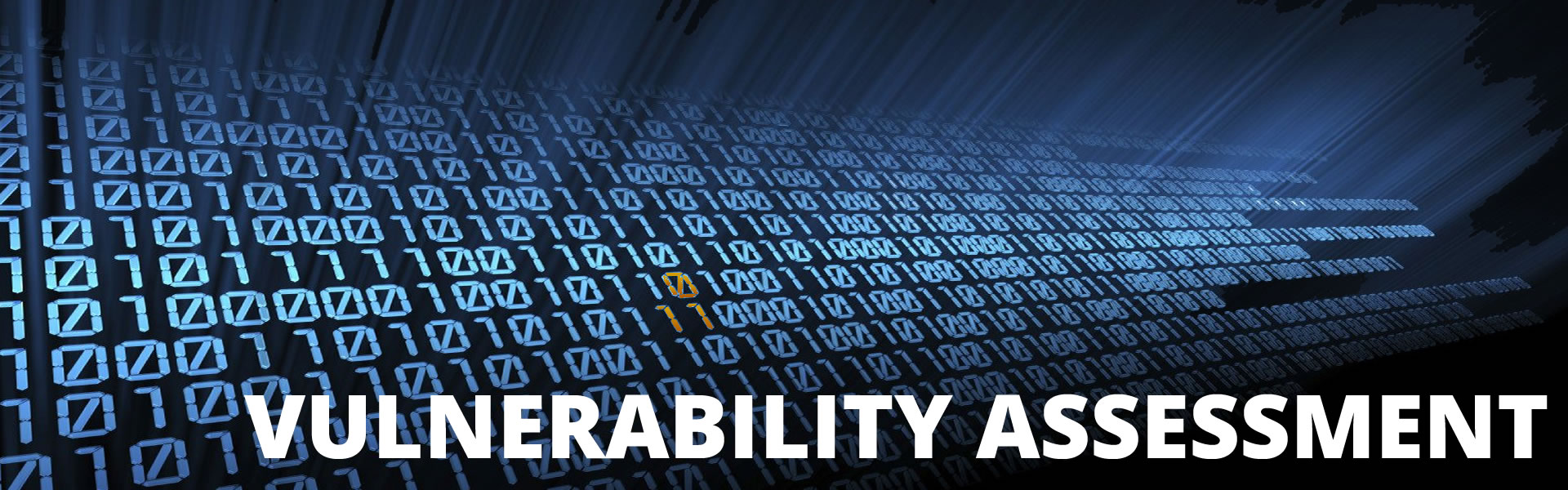 vulnerability-assessment vulnerability-assessment