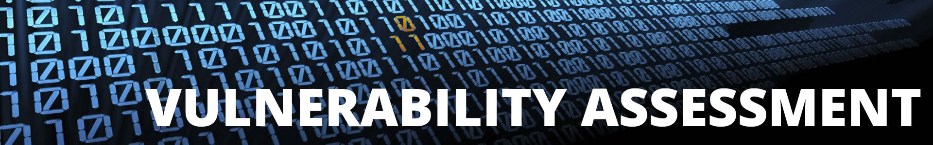 Vulnerability AssessmentVA Vulnerability Assessment